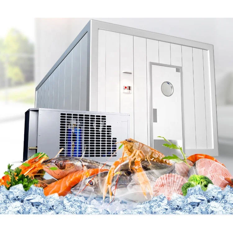 Mini Cold Room Cold Chamber For Meat