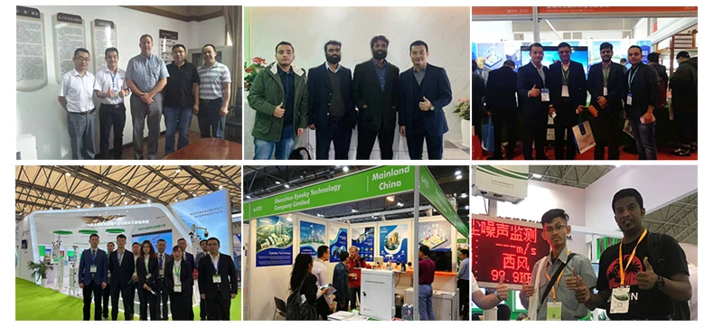 Safewill Manufacturer Wholesale High Precise Rainfall Sensor 0.2 mm 0.5 mm RS485 Pulse Output Tipping Bucket Rain Gauge