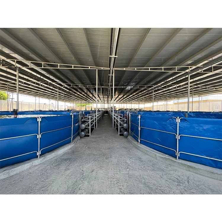 ras Fish-Breeding Pools PVC Fish Breeding Tank Loach Frogs Farming PVC Farming Pool PVC Aquaculture Pool Acuicultura