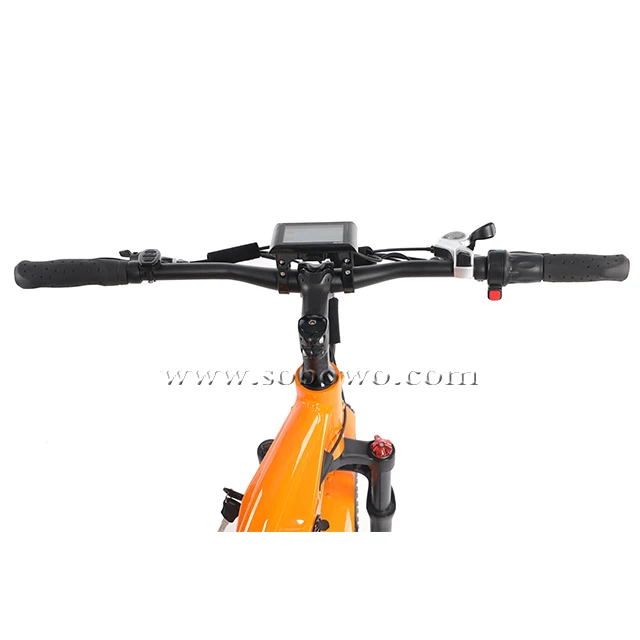 SOBOWO Two-wheel drive 26 inch 750W 48V/20AH flexible electric motorcycle Cargo long range ebike carrying goods electric bike