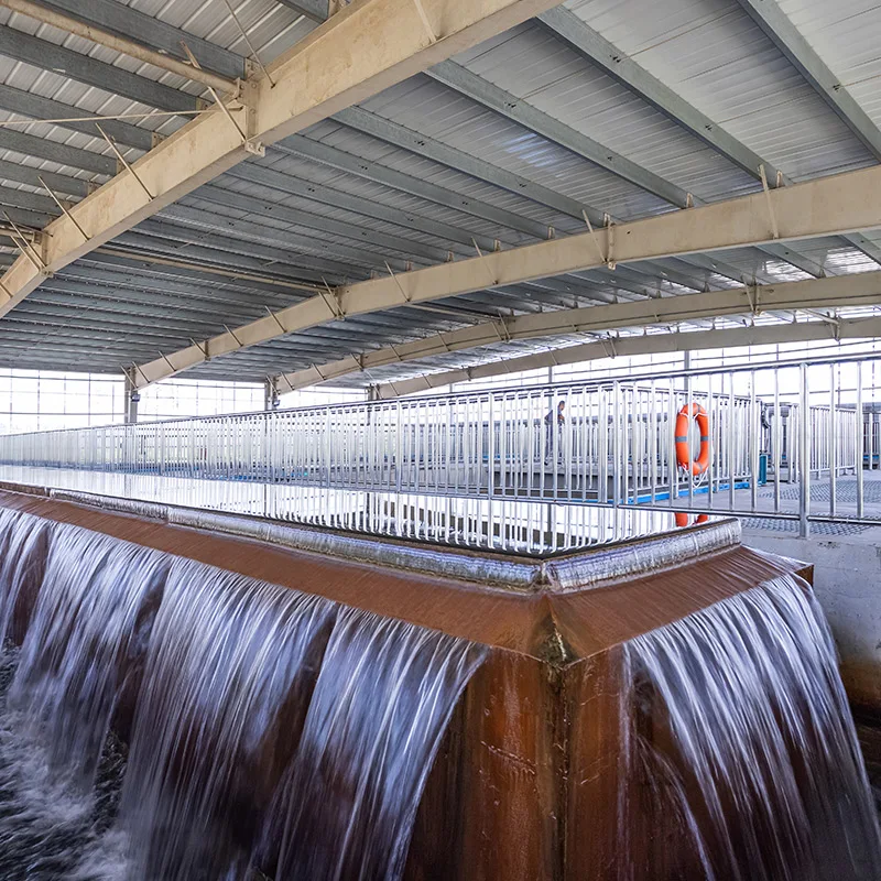 Coconut shell activated carbon for water treatment