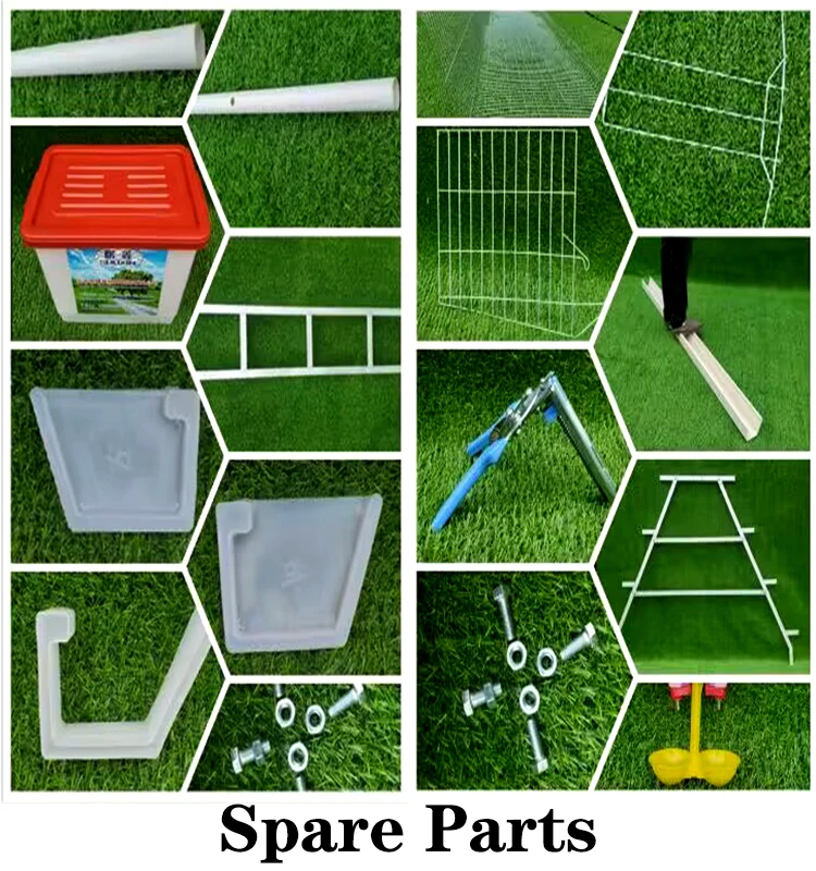 1000 Chickens Egg Layer chicken house With automatic water supply and feeder For Hens