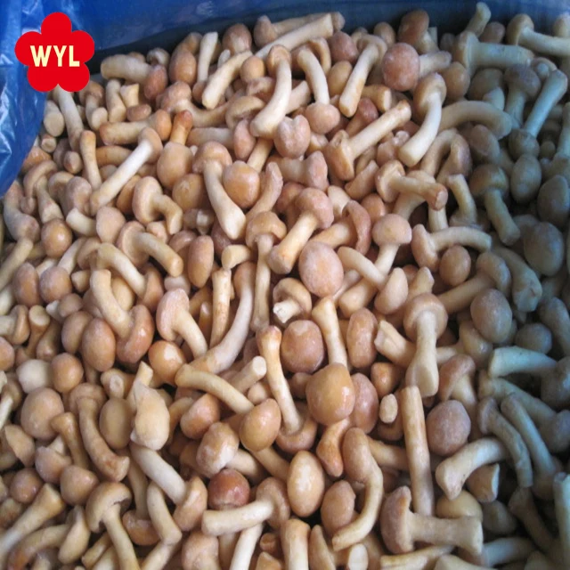 High Quality Iqf Frozen Nameko Mushroom for frozen mushroom