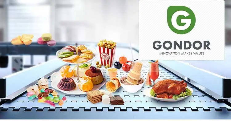 Gondor_XQ (1)