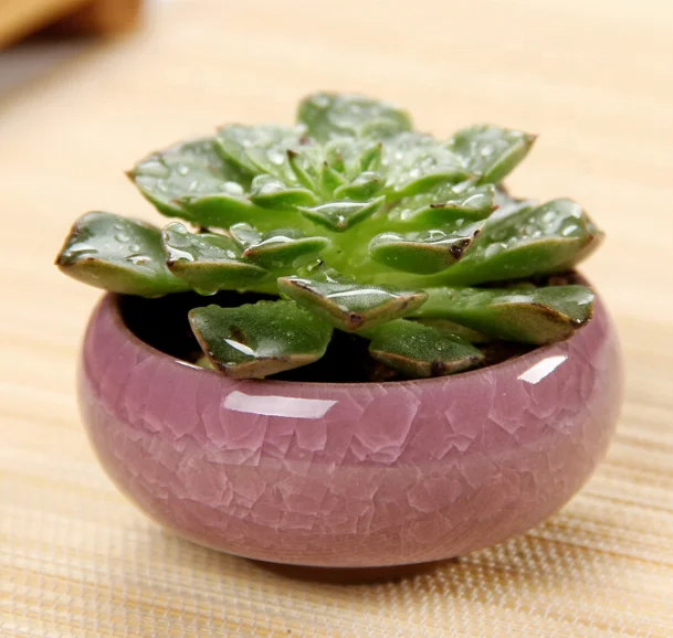 Ceramic Mini Flower Pot Cactus Plant Pots Flower Pots Container Planter for Home Garden Office Decoration