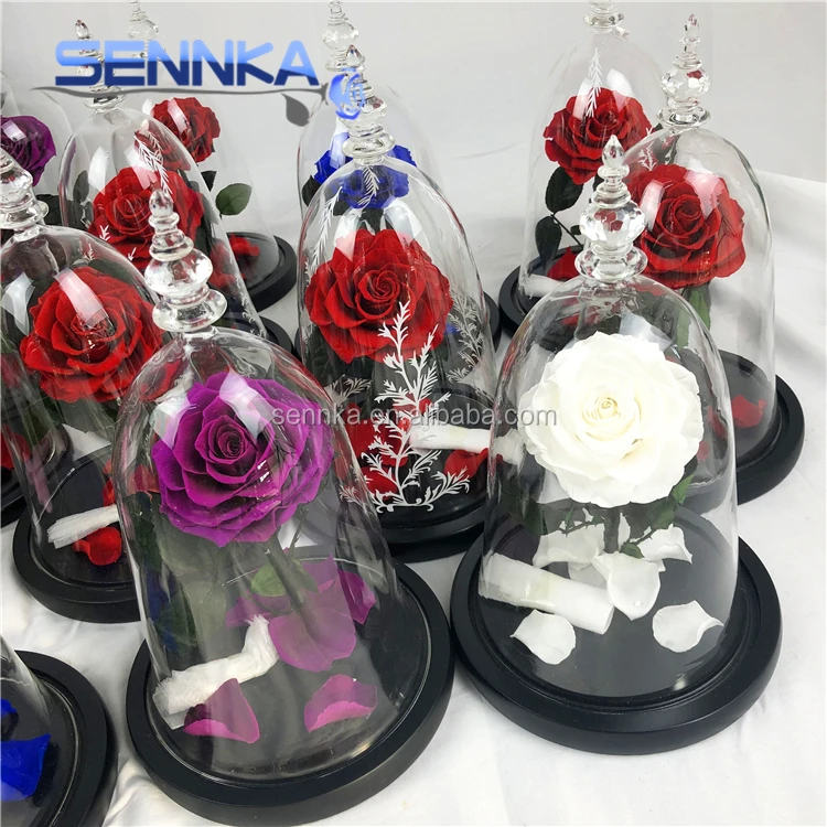 Wholesale Beauty and the Beast Design Flowers Real Natural Single Preserved Rose in Glass Dome for Wedding Decoration