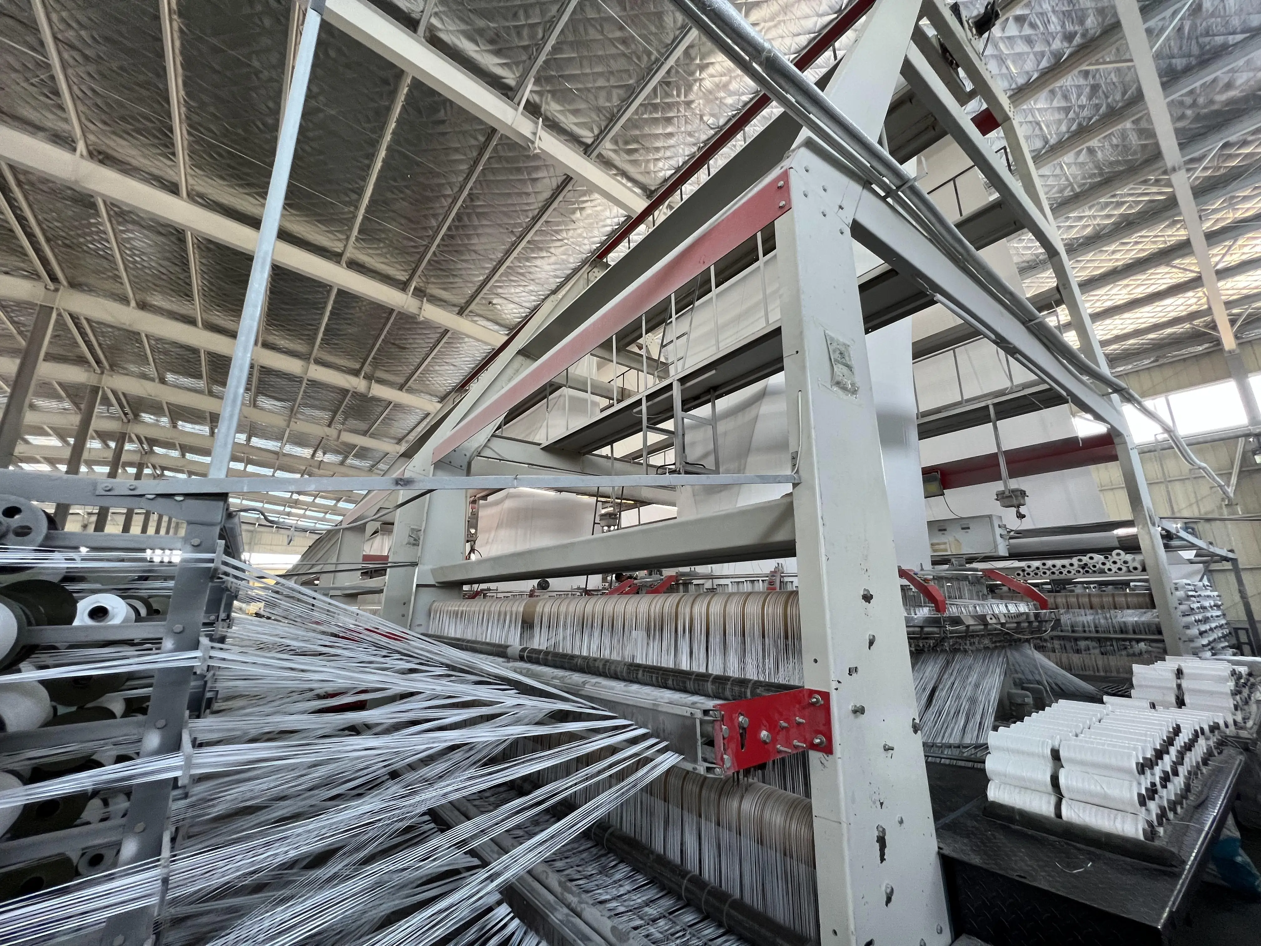 2023_08_04_09_52_IMG_0080