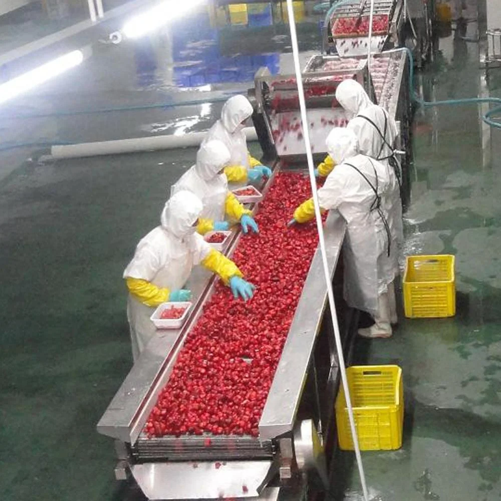  Свежая замороженная клубника цена на продажу в