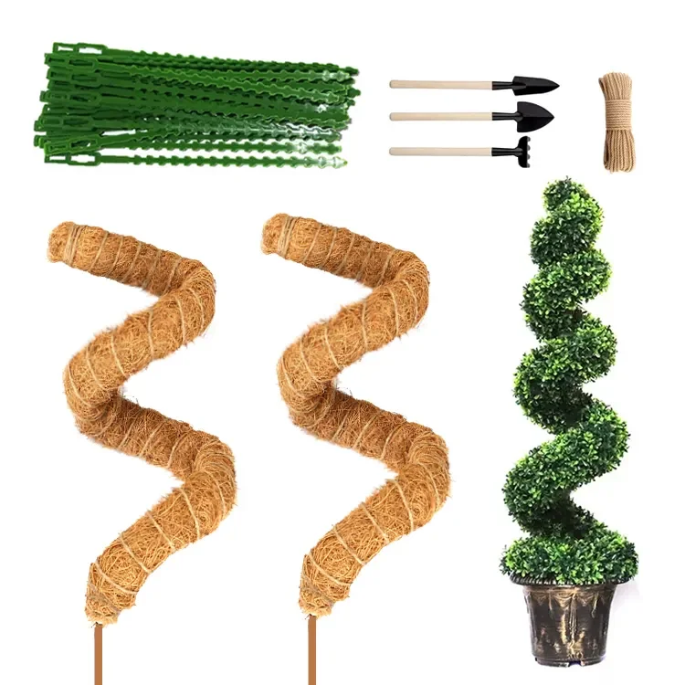 Best Selling   Deformable Plant Climbing Frame Coconut Palm Green Radish Gardening Bracket Coconut Palm Sticks Moss Pole