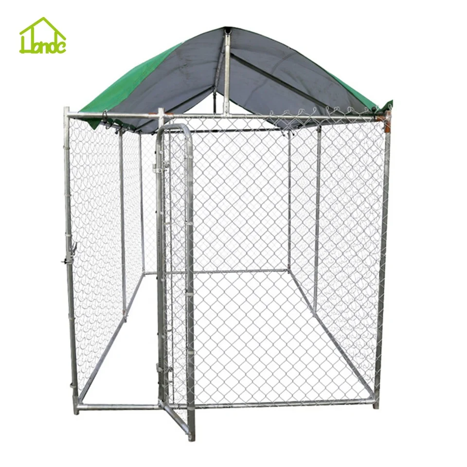 Chain link pet cages mating dogs and women