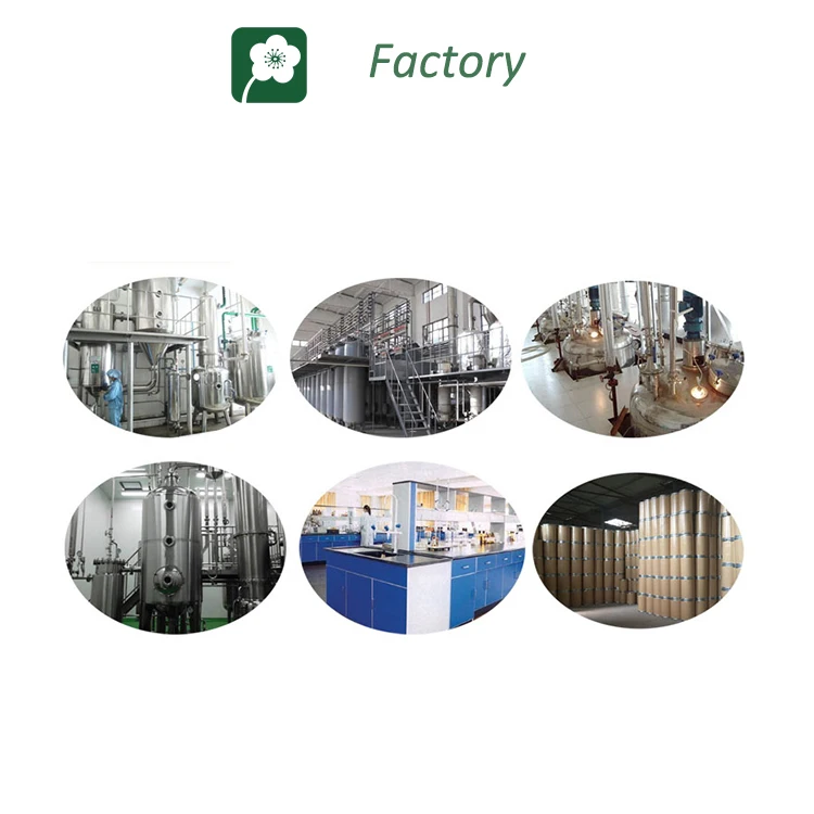 
Almond milk seeds apricot kernel almonds extract powder flour vitamin B17 98% amygdalin 