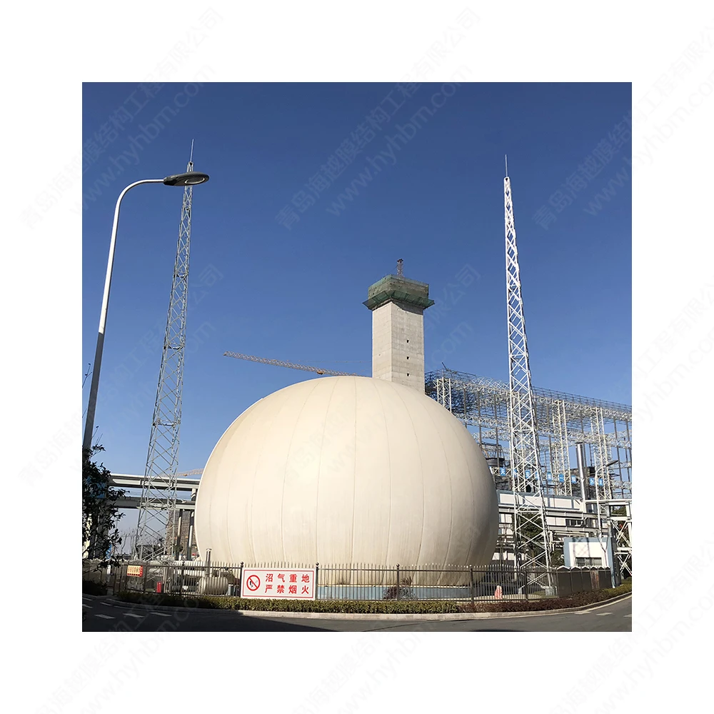 Good Quality China Gold Suppliers Cow manure biogas stoves biogas project complete equipments for waste
