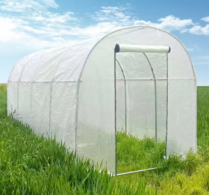 Agricultural Single-Span Poly Tunnel Film Greenhouse with Hydroponics System