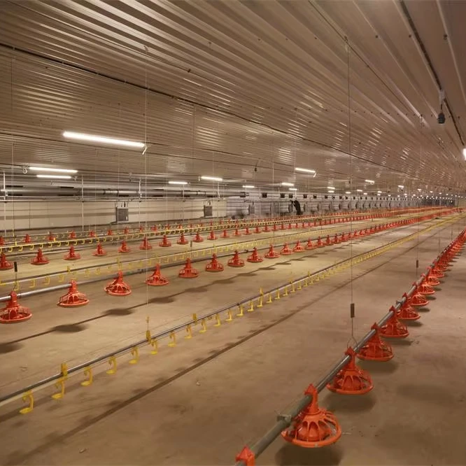 Chicken Farming Prefab House Complete Solutions Automatic Layer Broiler Poultry Cage System