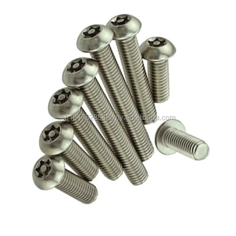 Manufacture Stainless Steel 304 316 Carbon Steel Torx Security Screw with Pin
