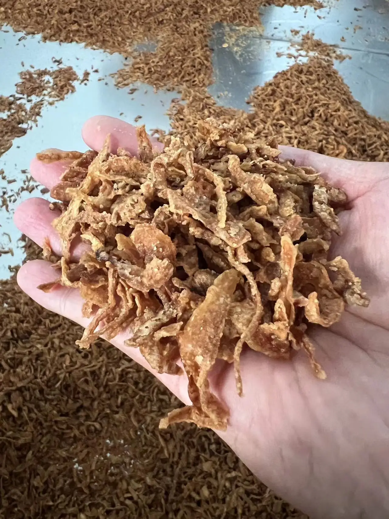 Tasty Fried Onion Flash Sales Fried Crispy Onion 100% Premium Grade Onion Deep Fried In Right Temperature No Bitter In Taste