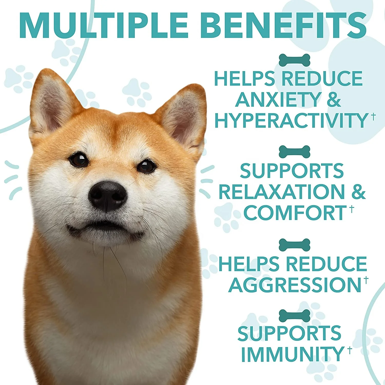 wholesale Hemq Calming Chews for Dogs Organic Dogs Calming Chews Calming Treats for Dogs Anxiety Relief Treats Private Label