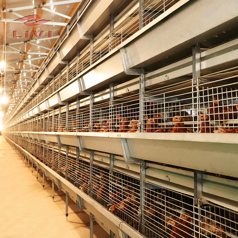 New Design Reasonable Price Chicken Poultry Farm Broiler Battery Cage for Growing Broiler Chicken Rate Cages