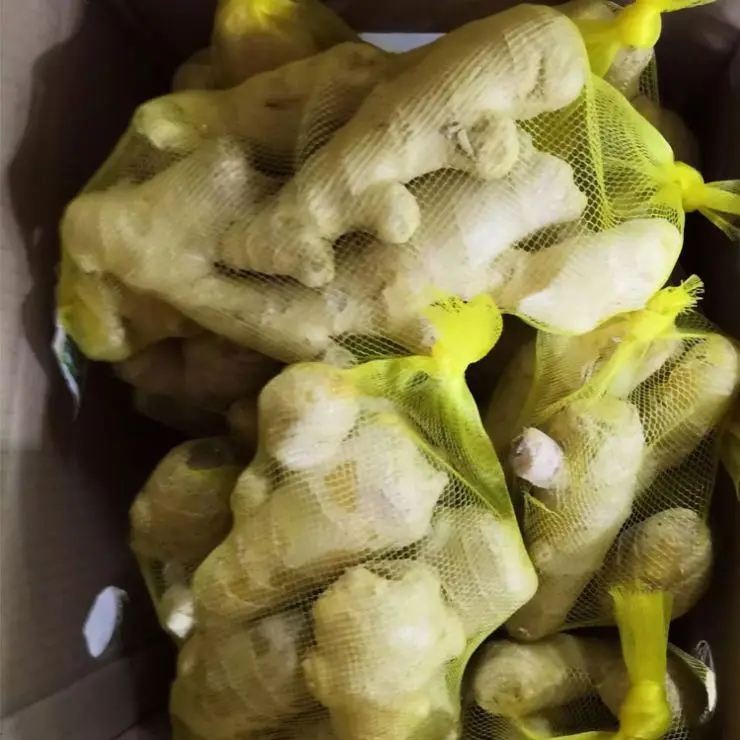 
Wholesale New Crop Ginger with Export Fresh Ginger 