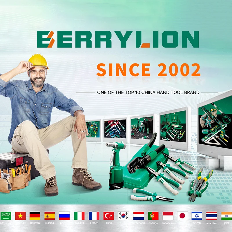 One Stop Tools Station BERRYLION Hand Tools Supplier Berrylion For More Than 1000 Kinds Of Products