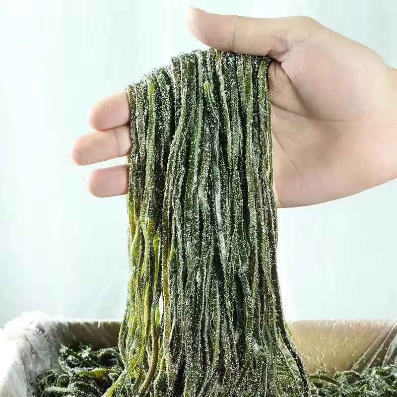 Seafood Factory Machine High Quality New Crop Dried Cut Salted Kelp Laminaria Dry Salted Kelp Silk Dried Without Salt Shredded