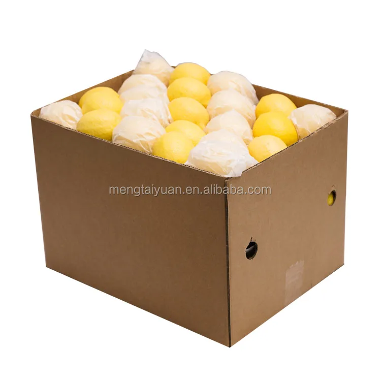 Top Quality Eurak New Season fresh organic fresh lemon