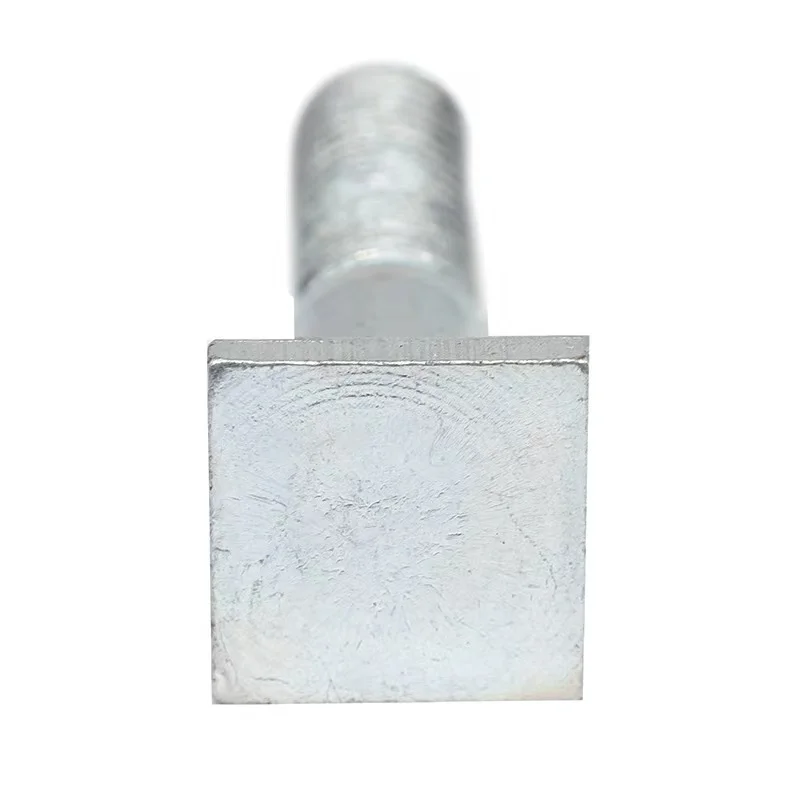 HCH hardware Grade 8.8 Hot Dip Galvanized T Head Square Neck Hammer Track Bolts
