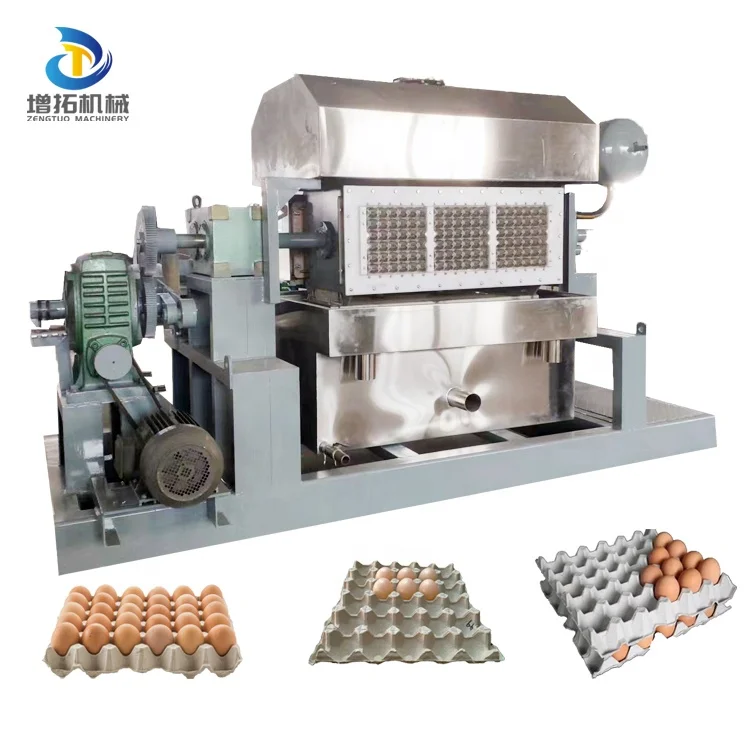 Sun dry Plastic/Aluminum Egg Mold Small Paper Pulp Egg Carton Egg Box Manufacturing Machine lowest price