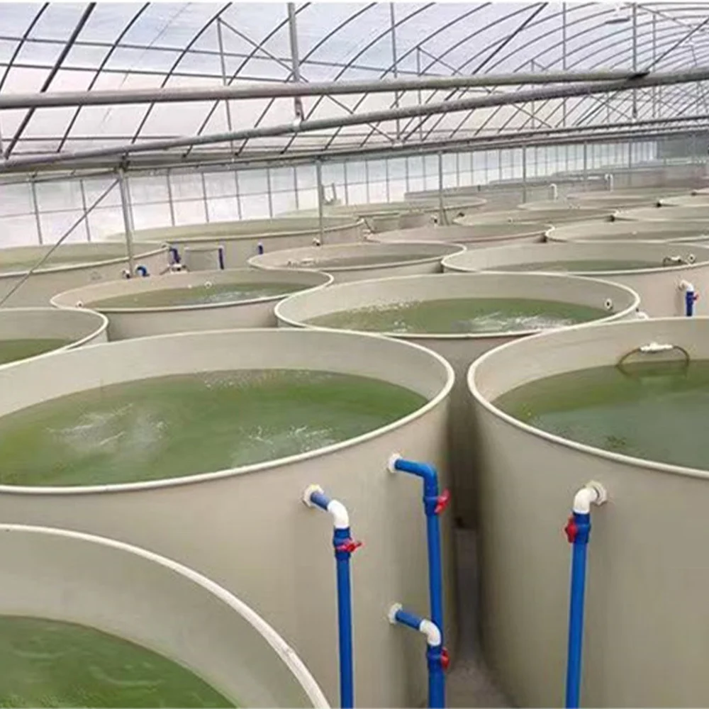 ZSPE Factory Direct Sale Wholesale Aquaculture Equipment PP Plastic Material Fish Tank
