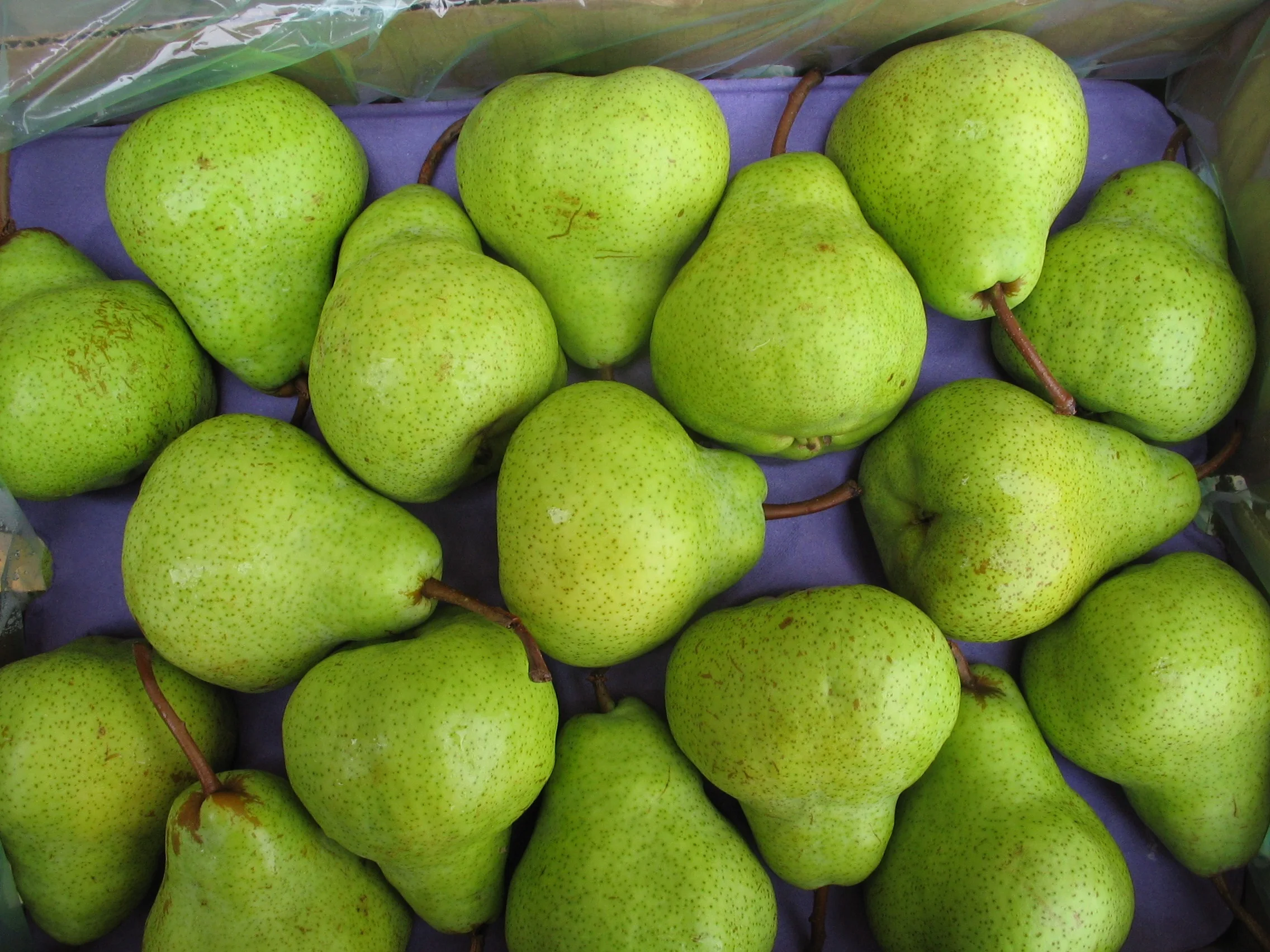 Южная Африка супер качество свежие PACKHAM TRIUMPH PEARS оптовая