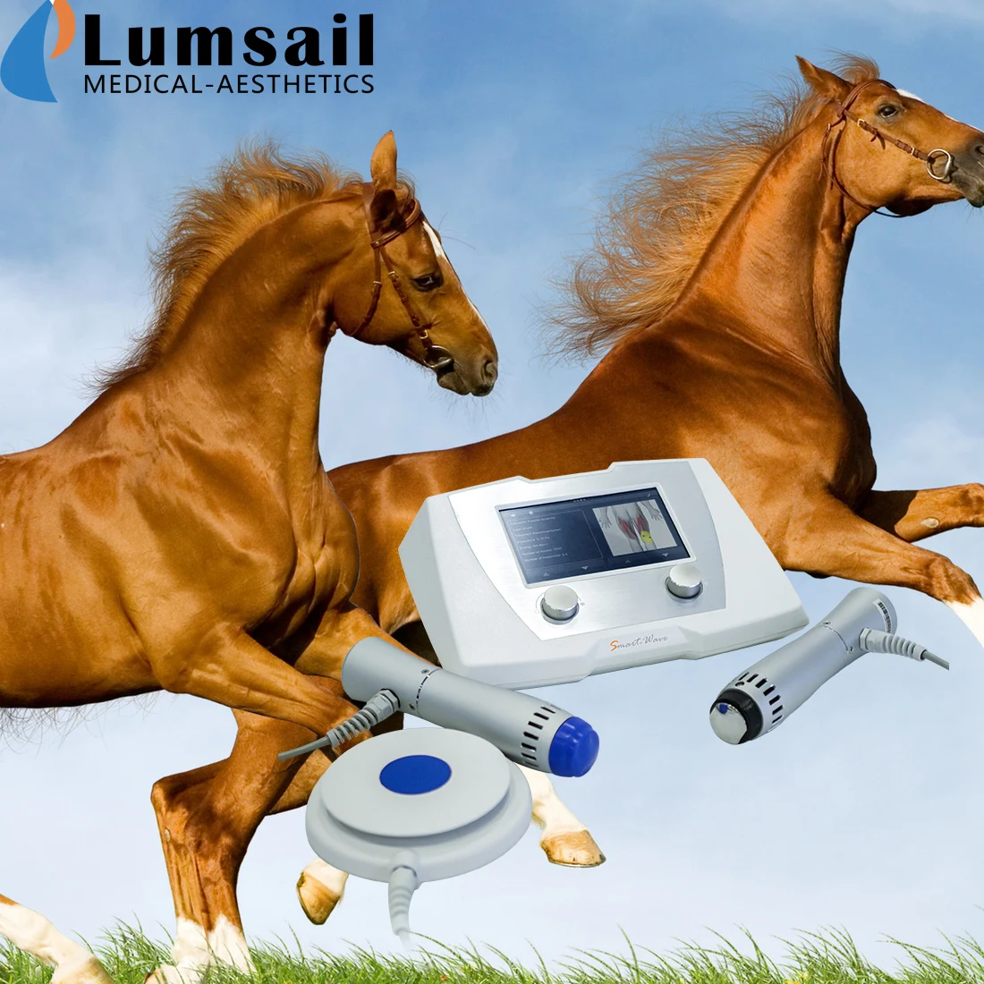 Veterinary Ultrasound  Shockwave Therapy Devices for Horses & Equine Vets