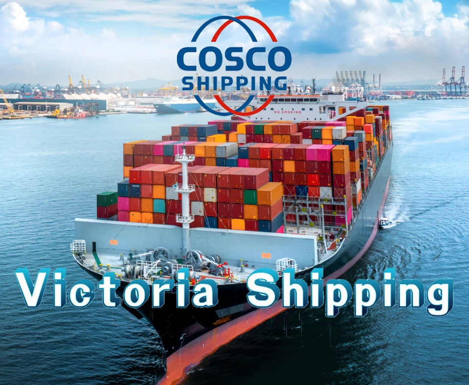 All-In-One Agent Delivery Worldwide International Delivery Door To Door Canada Ship Amazon Fba