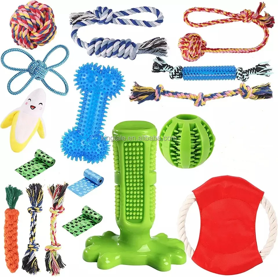 Kingtale Pet Supplies Dog Chew Toys Puppy 18 Pack Puppies Teething Chew Toys With Dog Toys Pet Accessories of pet supplies