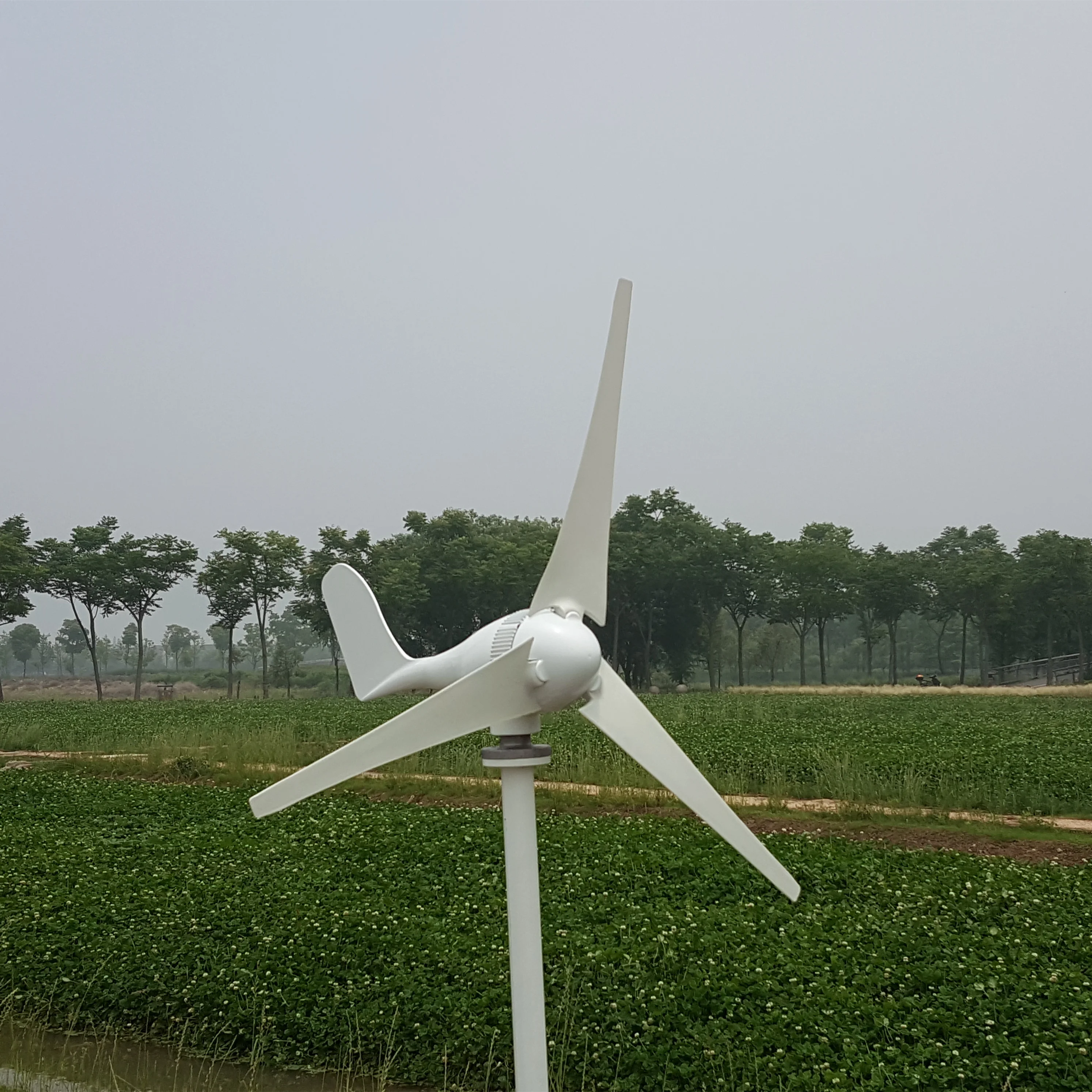 China 400w wind generator 100w HAWT Windmill 12/24v 200w Wind dynamo  Wind turbine for house use