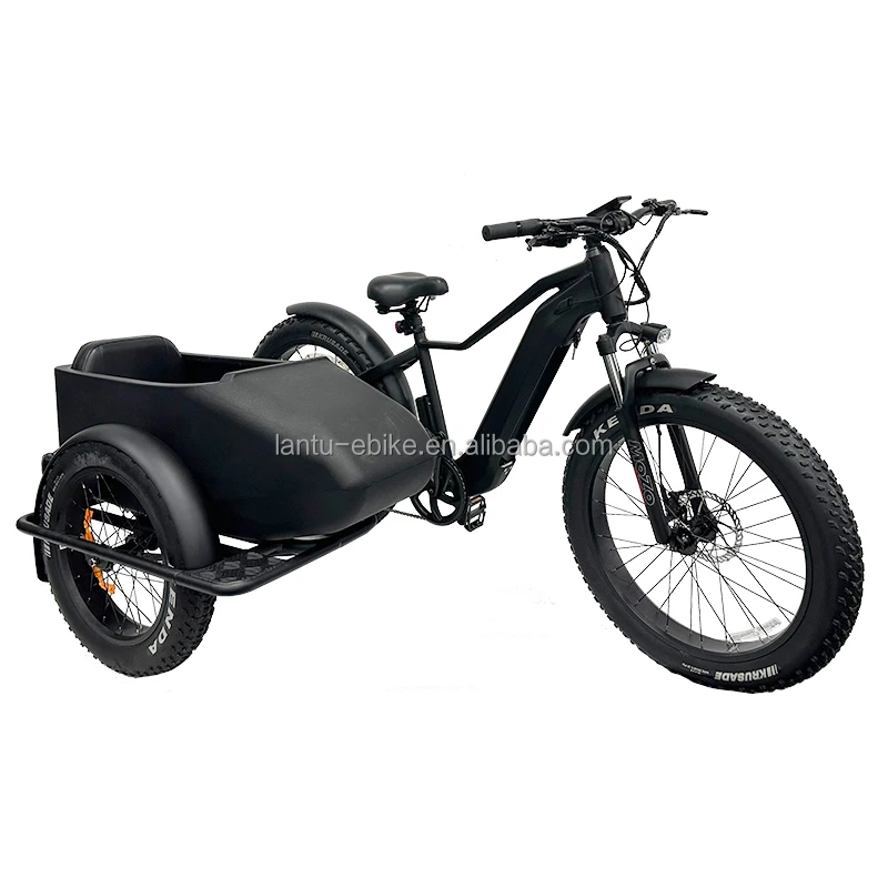 retro style wholesale price cargo ebike with sidecar 3 wheel 750w 1000w 48v fat tire electric bike side car ebike for sale