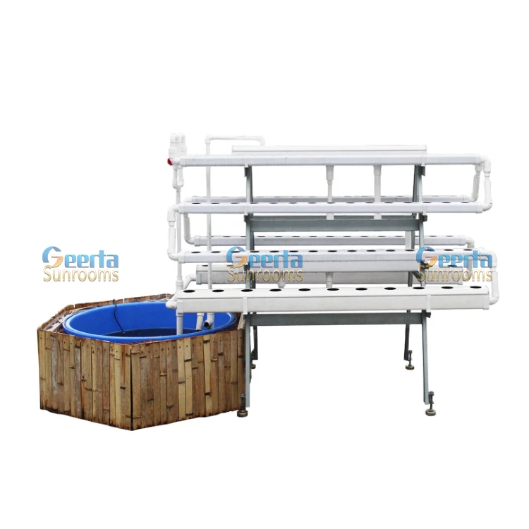 Automatic Aquaponics Fish And Vegetable Growing System Hydroponic For Greenhouse