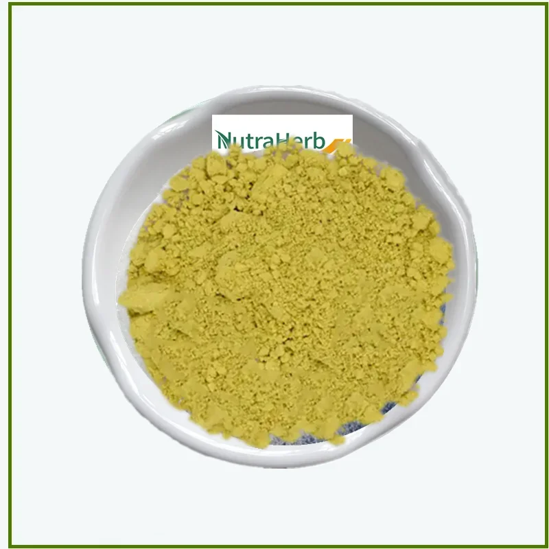 Scutellaria Baicalensis Root Extract Powder 98% Baicalin Powder