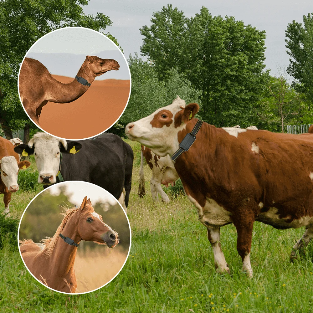 Big Battery Waterproof Anti-remove Fence Alarm 4g Cow Horse Solar Power Gps Tracker