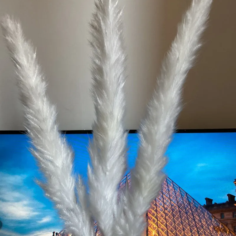 Factory price Small White Natural Dried Reed Pampas Grass For Decoration