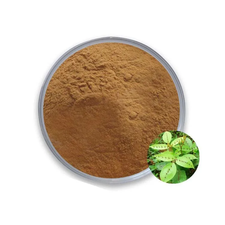 1 кг антивозрастной натуральный экстракт Reynoutria Japonica Tran Resveratrol объемный порошок