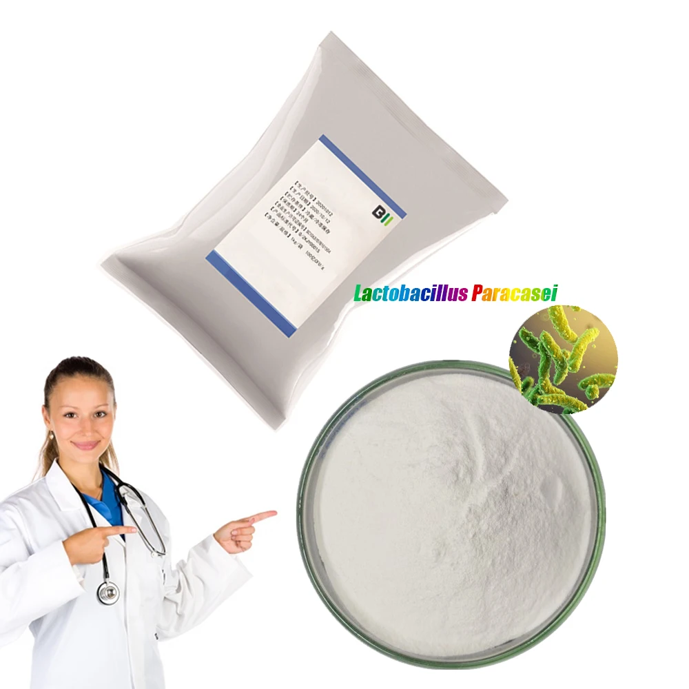 Freeze dried probiotics powder of Lactobacillus paracasei for fermented dairy products 50 100 200 300 billion CFU