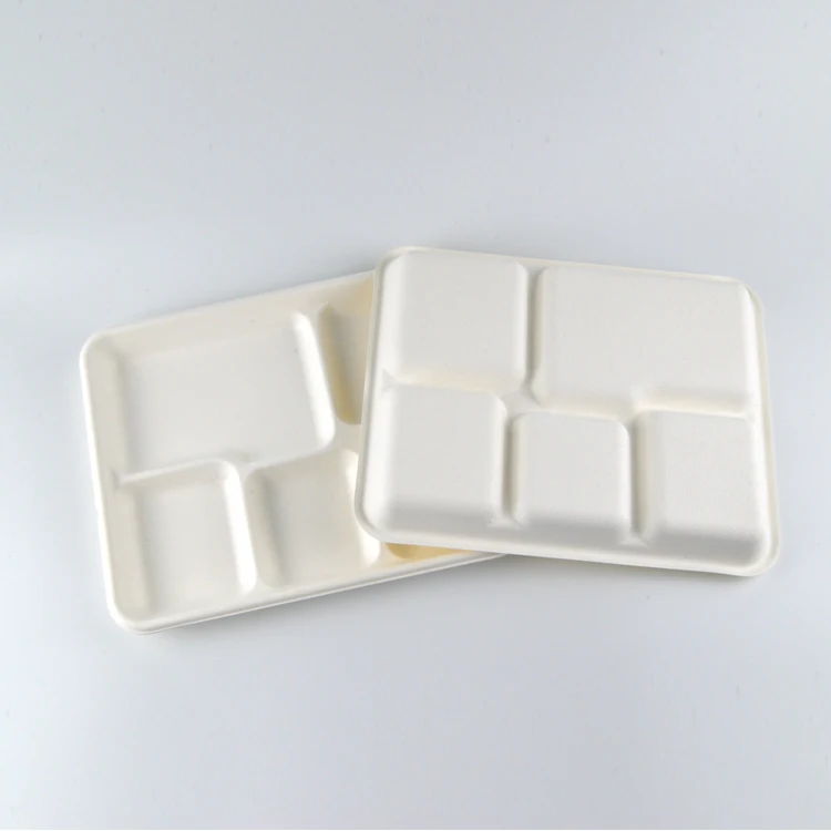 Bagasse 5 Division Tray 5 Compartments Sugarcane Plate 5 Compartment Biodegradable Lunch Tray