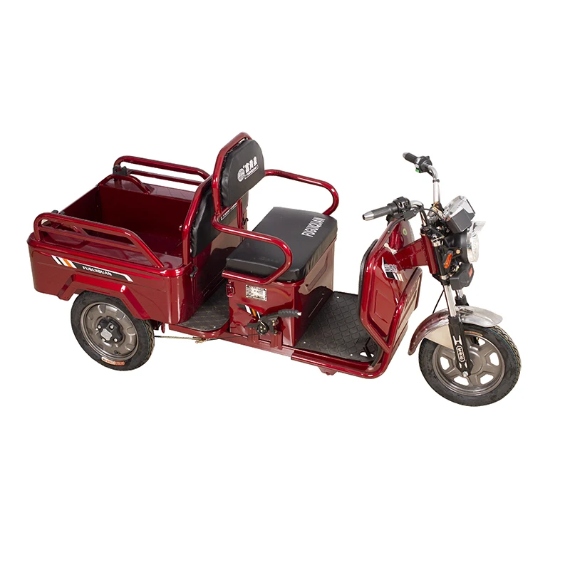 Passenger and Cargo Tricycle Turkey Bajaj Tricycle Manufacturers Electric Foldable Tricycle