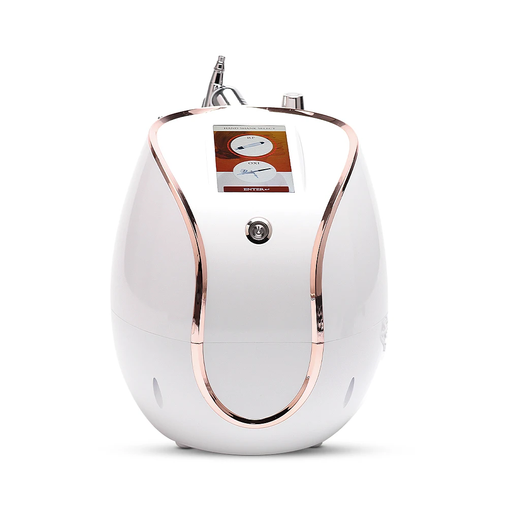 New arrival oxygen jet spray portable skin care device oxygen sprayer with 2 replaceable rf heads