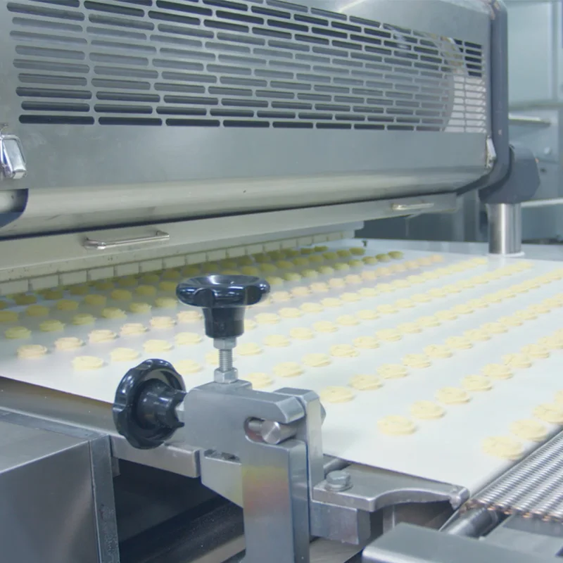 Cookie Depositor Machine Dog Biscuit Making Machine With Depositing Device