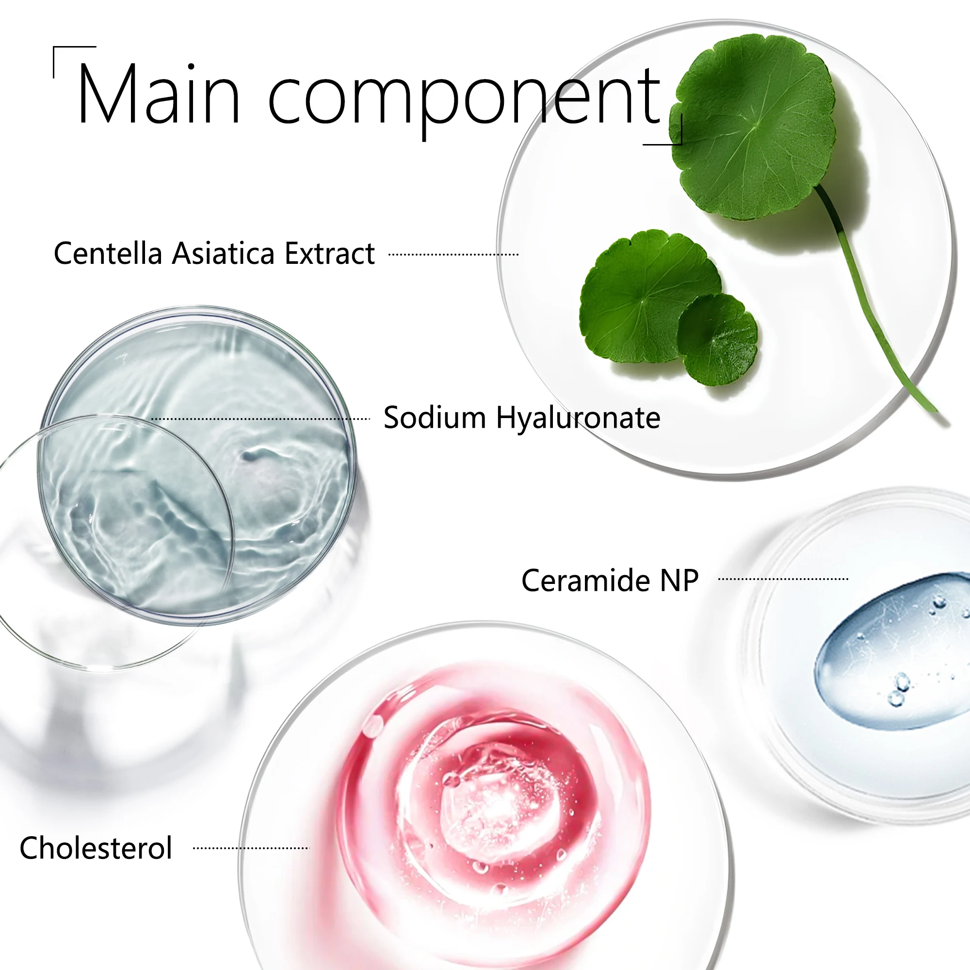 Private Label Korean Centalla Skin Care Product Moisturizing Repair Herbal Caramel Centella Asiatica Skin Care Set