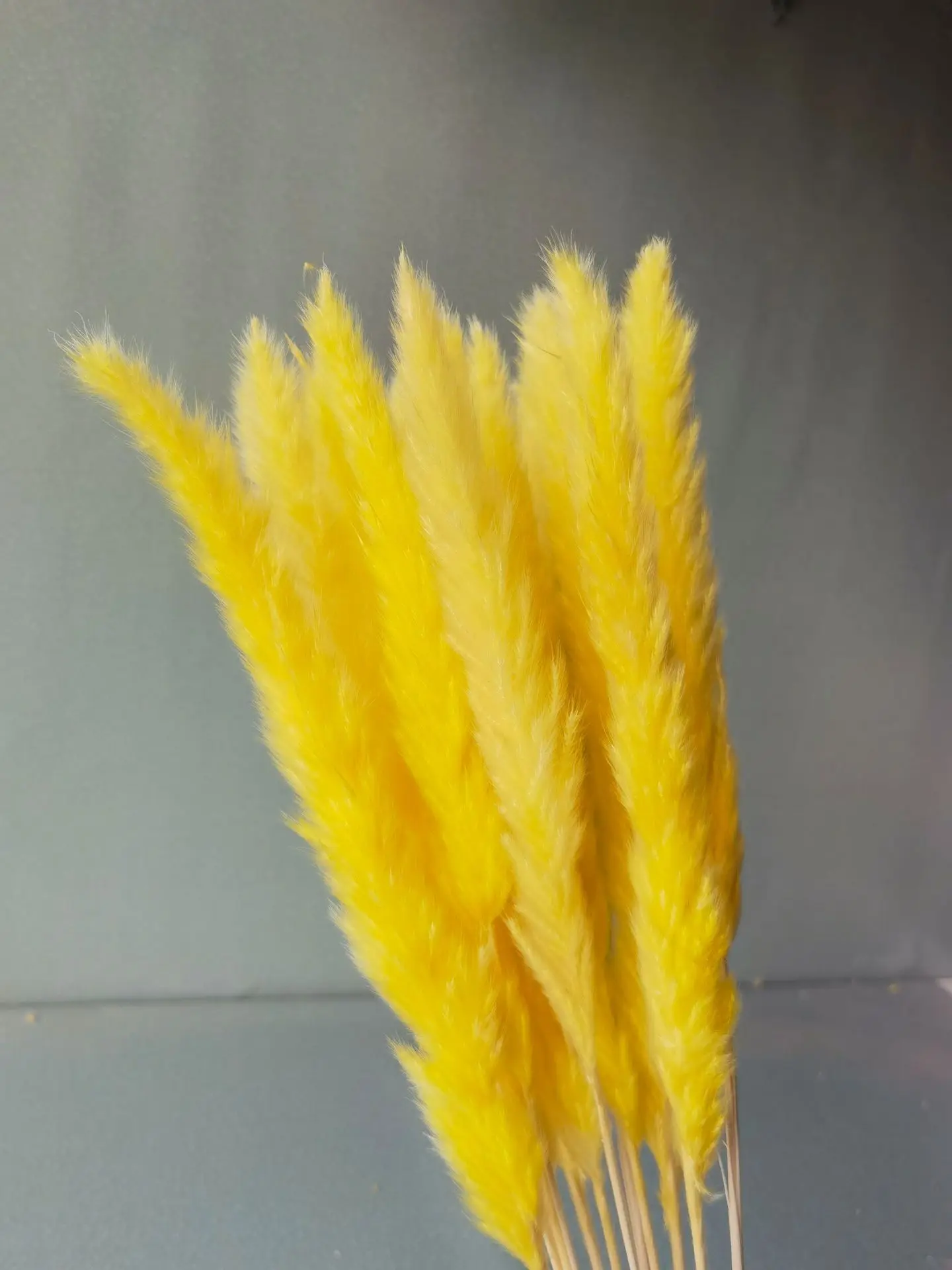 Dried flower customizable Package 45cm  Dried Pampas Grass potpourri dried flowers