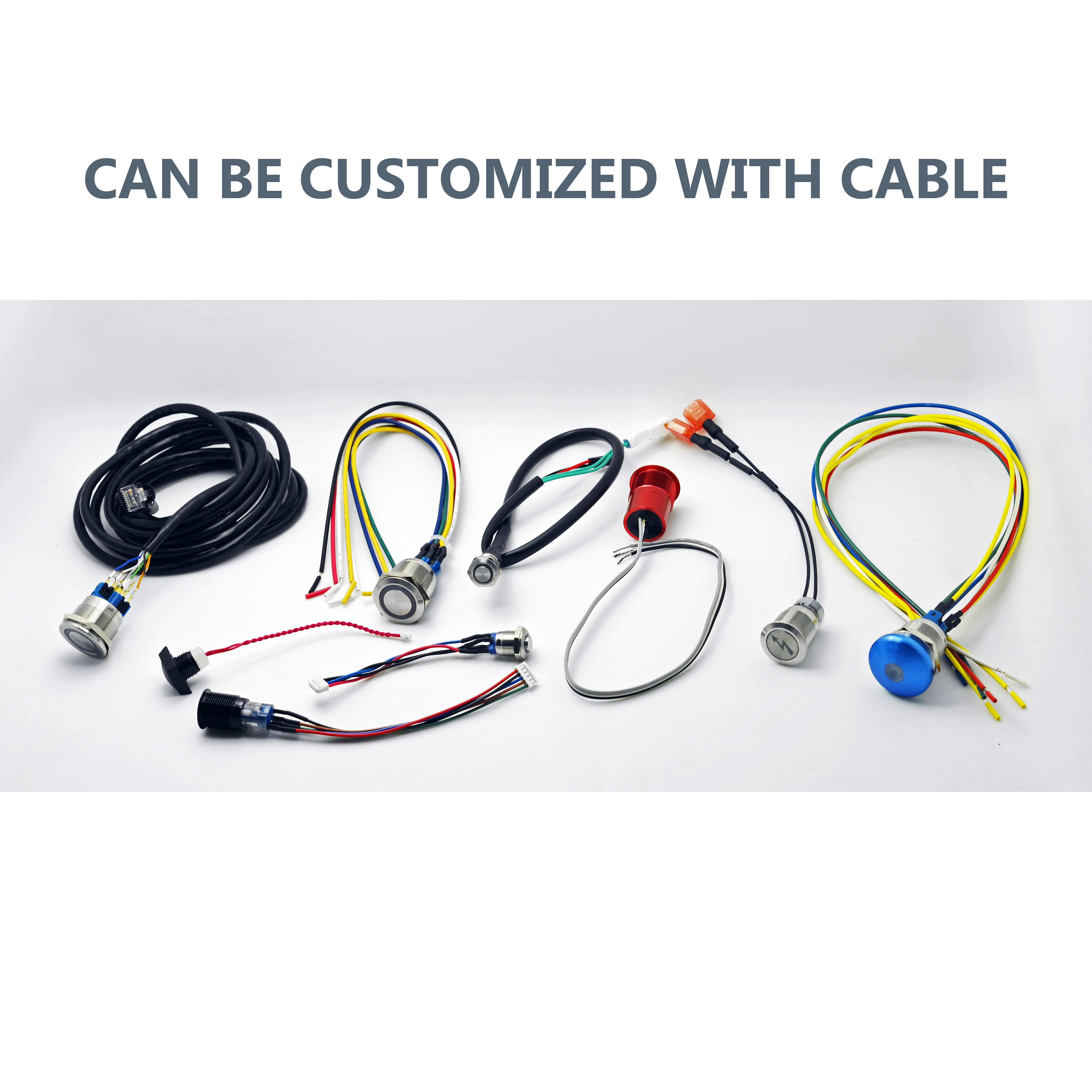 Custom illuminated symbols Push Button Switch, Manufacturer, Support OEM