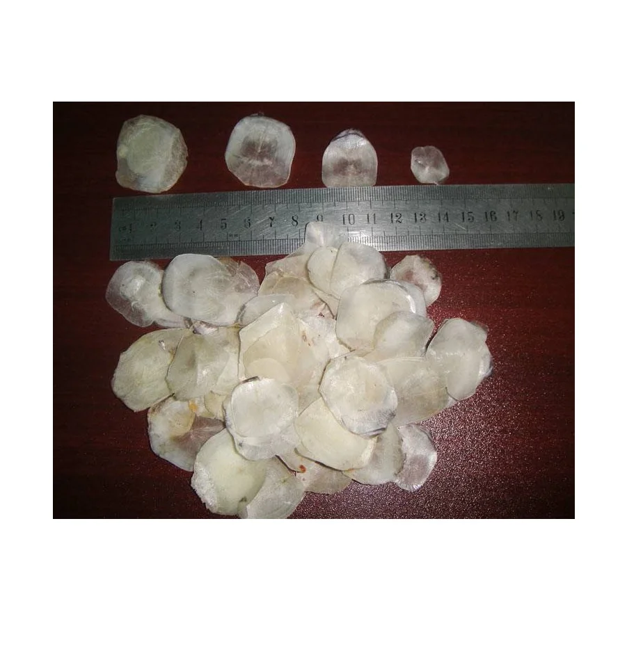 DRIED PILAPIA FISH SCALES FOR COLLAGEN EXTRACT In KOREAN/Japan Fish Collagen /Louis +84 943481858