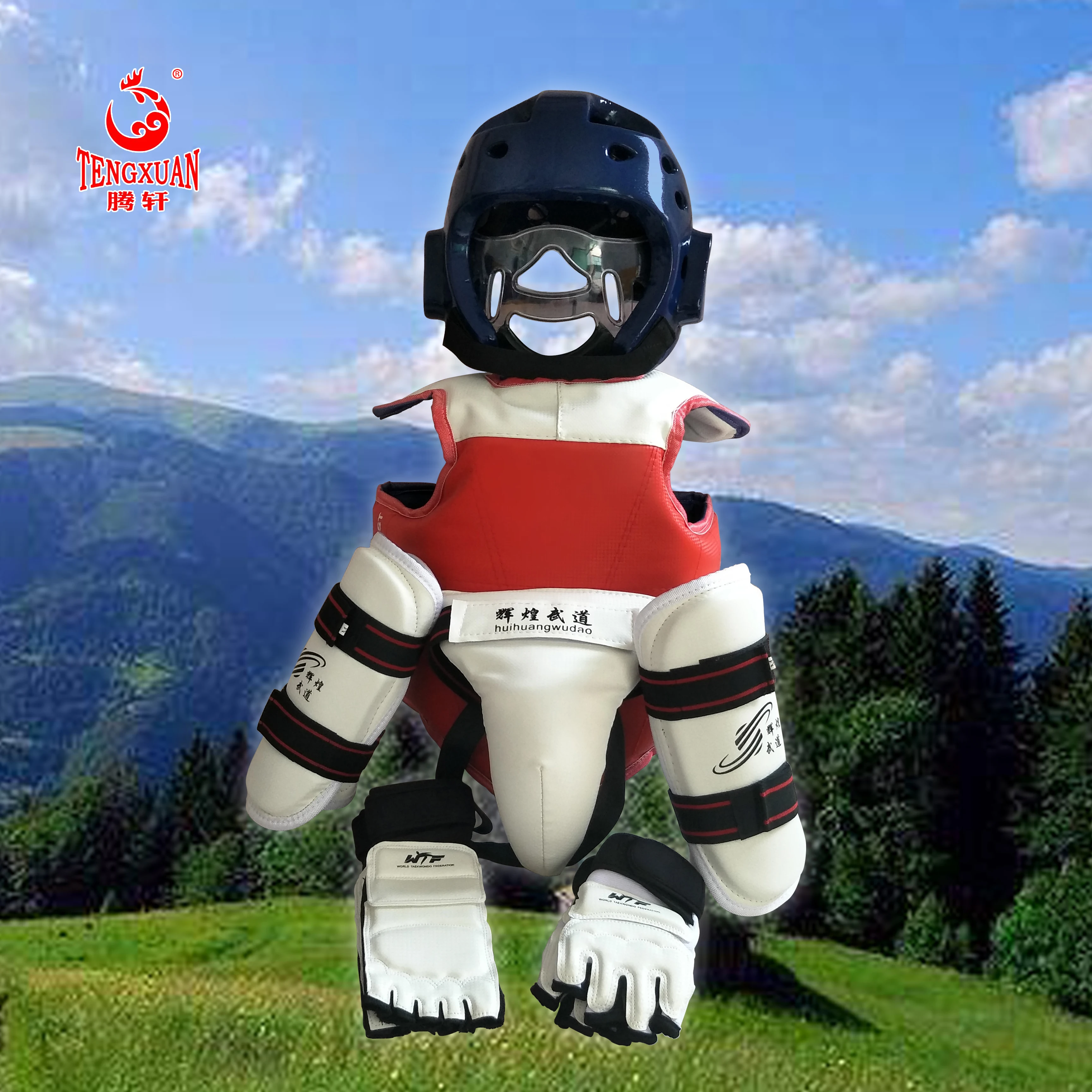 Customized Logo Sports Taekwondo Protective Gear Protectors Martial Arts Equipments